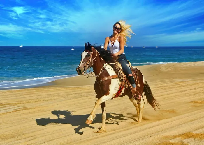 Apartment Coastal Chic At Misiones Arch & Sea View Cabo San Lucas